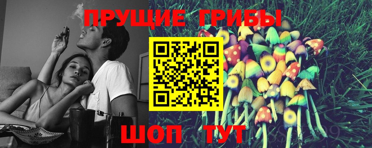 Псилоцибиновые грибы Cubensis Коммунар